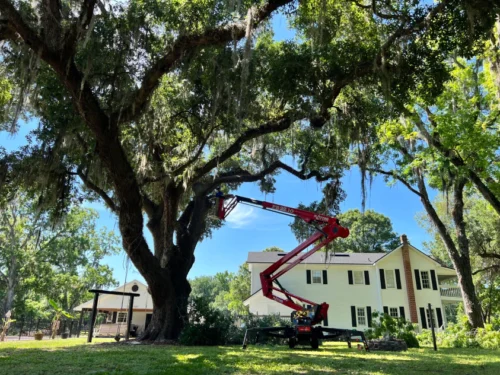 305618526 167654215844642 4046460384583679557 n