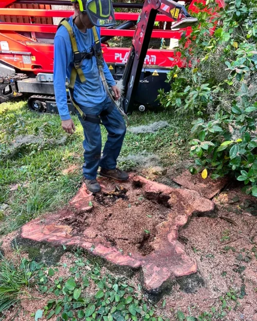 352350798 206785298973152 5808996164079602623 n