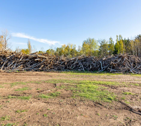 Land clearing service image 2