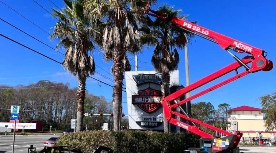 SP commercial tree removal