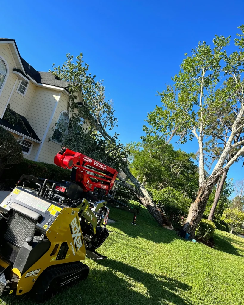White Glove Tree Removal Jacksonville FL